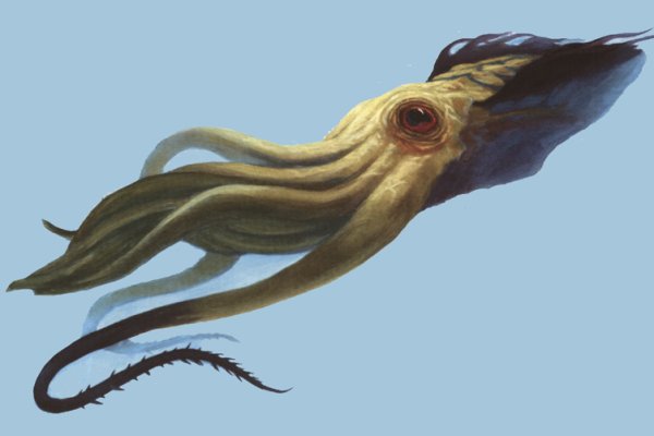 Kraken рабочее зеркало