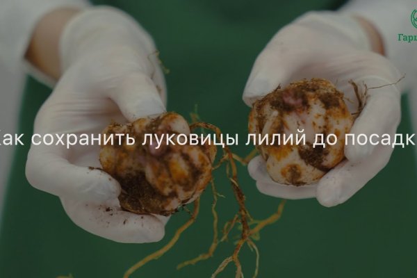 Кракен оф