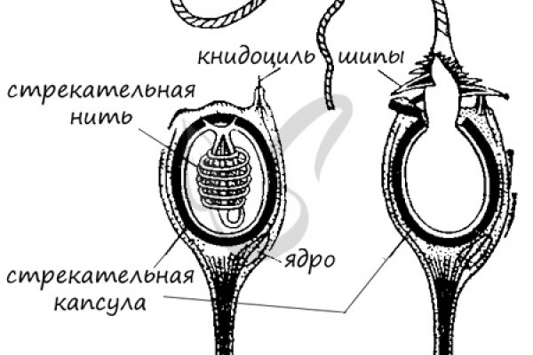 Кракен тор