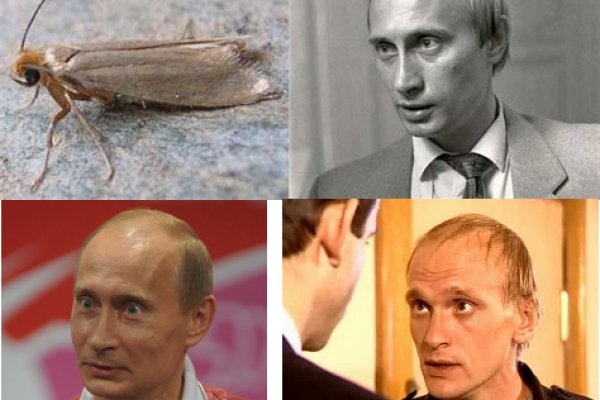 Кракен маркетплейс это