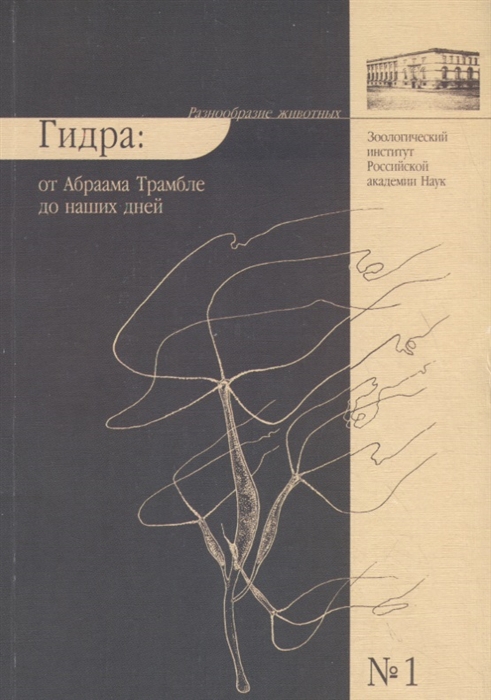Ссылка на кракен тор